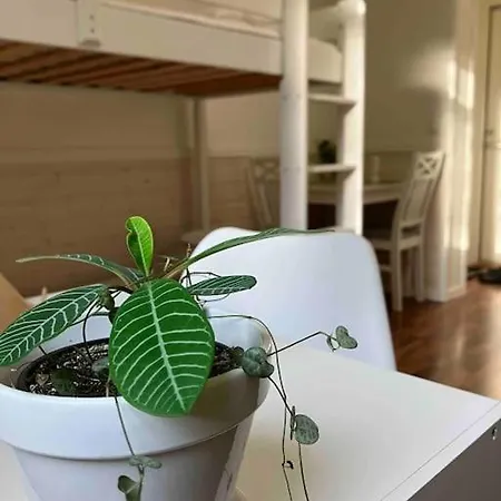 Entire Flat Located 2km From Center, Free Parking * Тампере